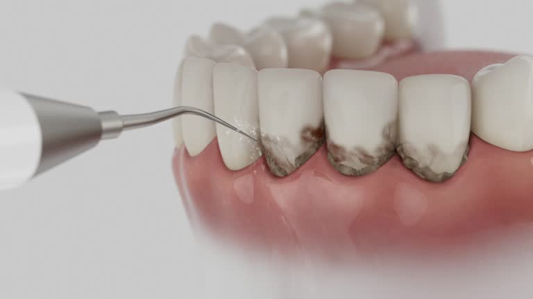 Reliable Dental contractor in Ocean City, MD by Dentist Open Now